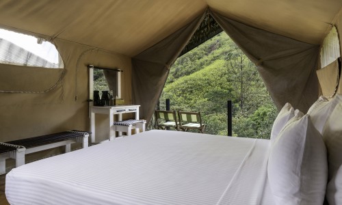Wild Glamping Knuckles